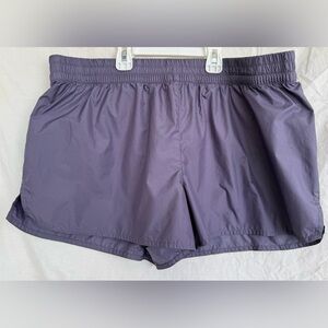 The North Face Lavender Women's Shorts